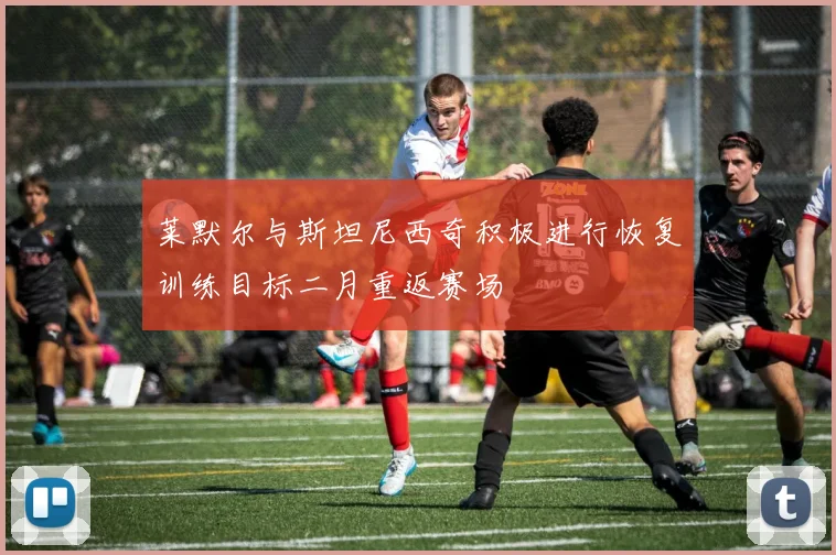 莱默尔与斯坦尼西奇积极进行恢复训练目标二月重返赛场